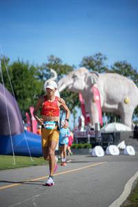 BIB: 
                            <button type="button" onclick="openModal(26543687)" class="btn btn-primary btn-sm float-right btn-popup" data-toggle="modal" data-target=".modal-high-quality">
                        <i class="fas fa-shopping-cart"></i> Add to Cart
                    </button>
                                            <button type="button" onclick="isThisMe(26543687, true)" class="btn btn-success btn-sm float-right btn-popup btn-isme hidden" data-toggle="tooltip" data-placement="bottom" title="นี่คือรูปของคุณใช่ไหม คลิกที่นี่เพื่อเอาเข้าอัลบั้ม">
                        <i class="fas fa-plus"></i> Add to album
                    </button>
                    <button type="button" onclick="isThisMe(26543687, false)" class="btn btn-warning btn-sm float-right btn-popup btn-isnotme hidden">
                        <i class="fas fa-ban"></i> Remove from album
                    </button>